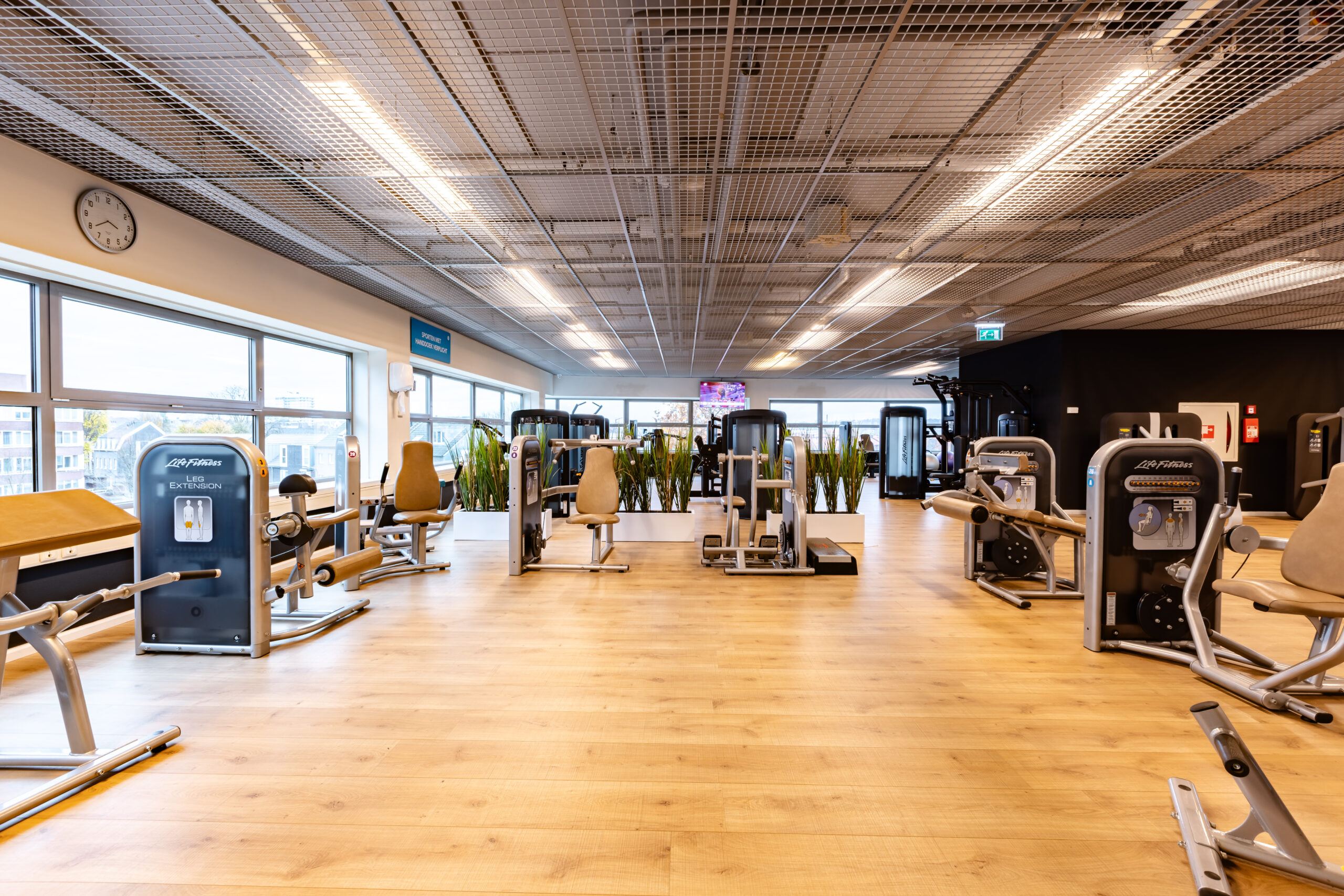 20231123_Il Fiore_@markrichter_3N0A6252-HDR