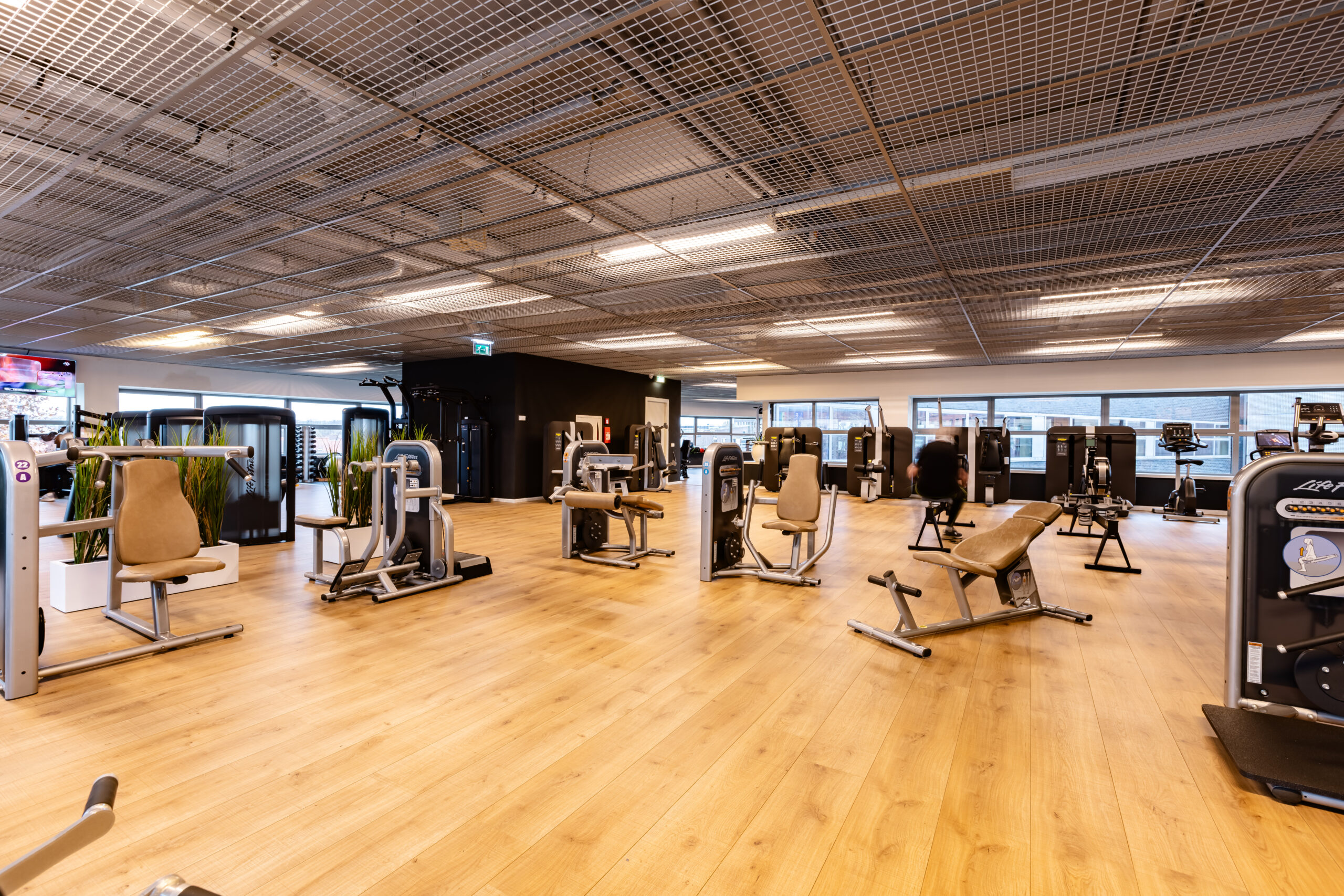 20231123_Il Fiore_@markrichter_3N0A6255-HDR